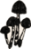 6238e6cbb5f8aa07e756f3d7_image-12