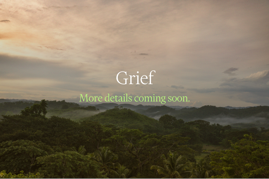 Grief Webinar