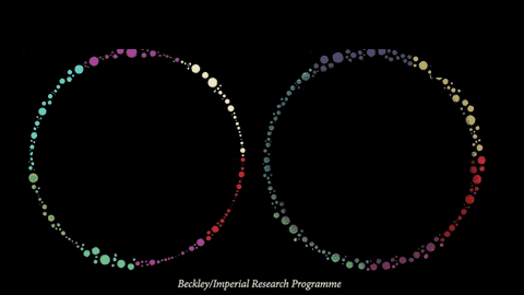 Brain connectivity research visual comparing placebo with the study condition