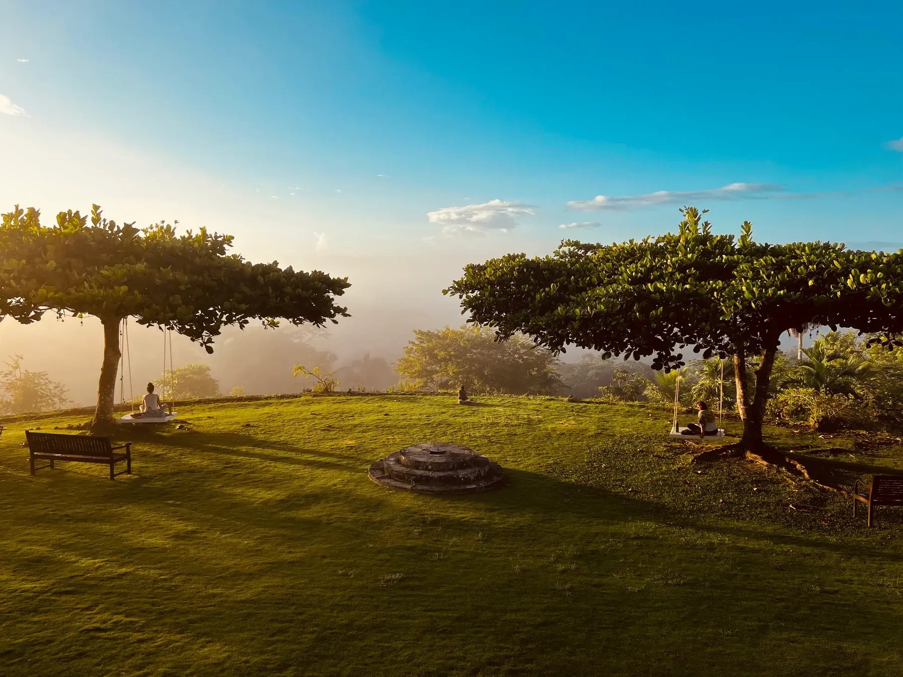 Morning light over the front lawn at Good Hope, Jamaica