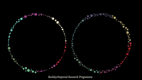 Brain connectivity visualisation, placebo on the left and the compound studied on the right