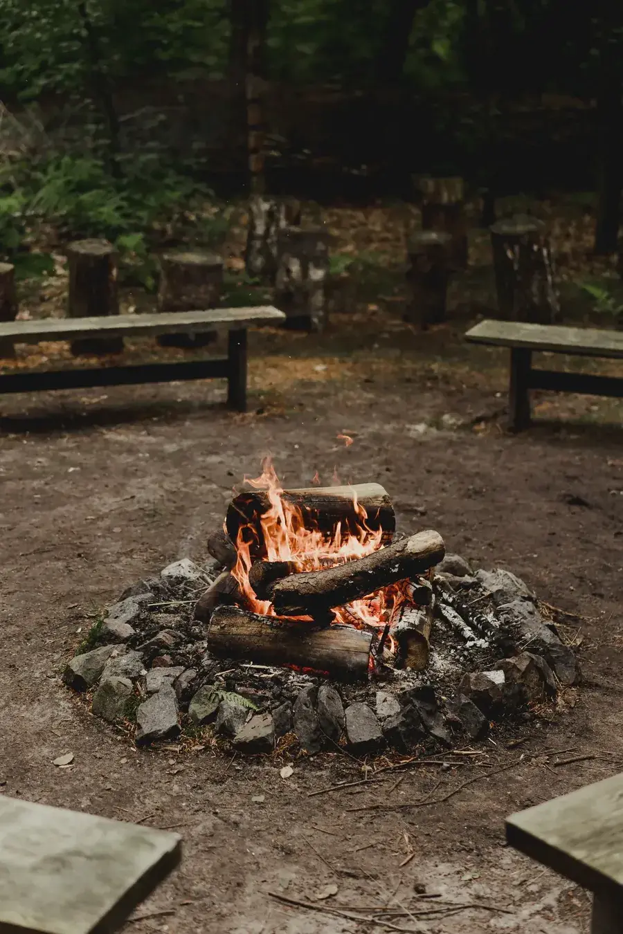The fire pit