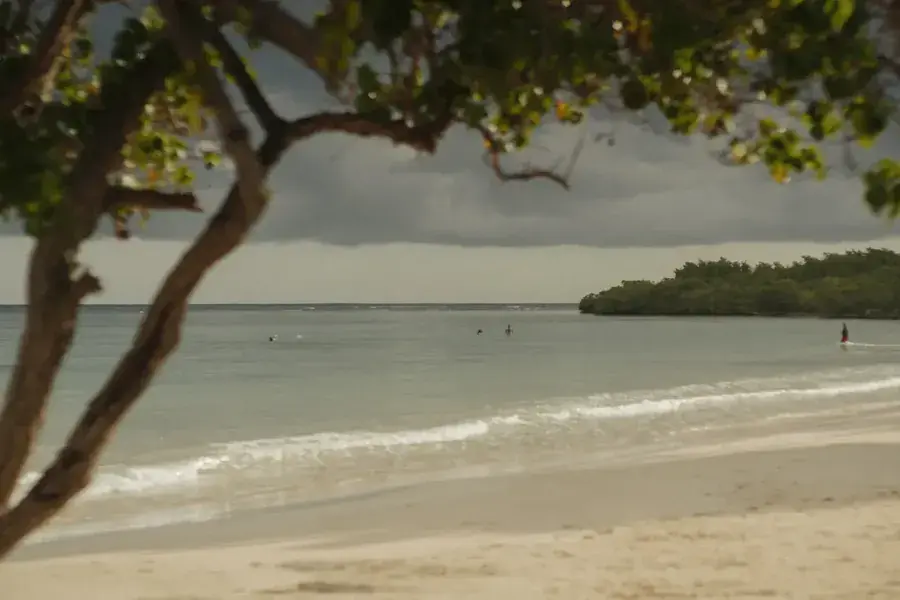 The private beach