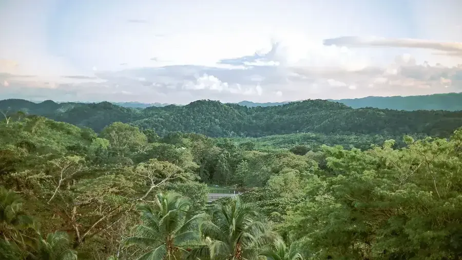 Forested hills of Cockpit Country seen from Good Hope