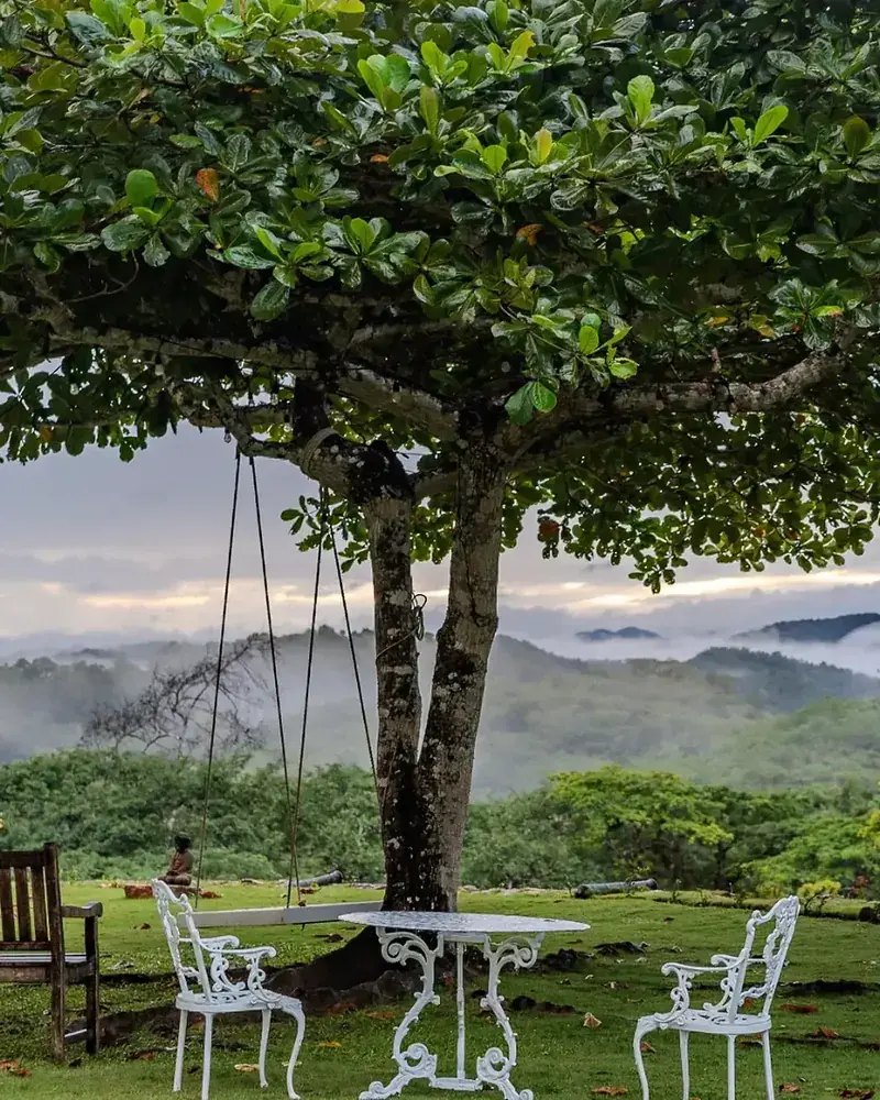 A swing under a tree looking out over the hills
