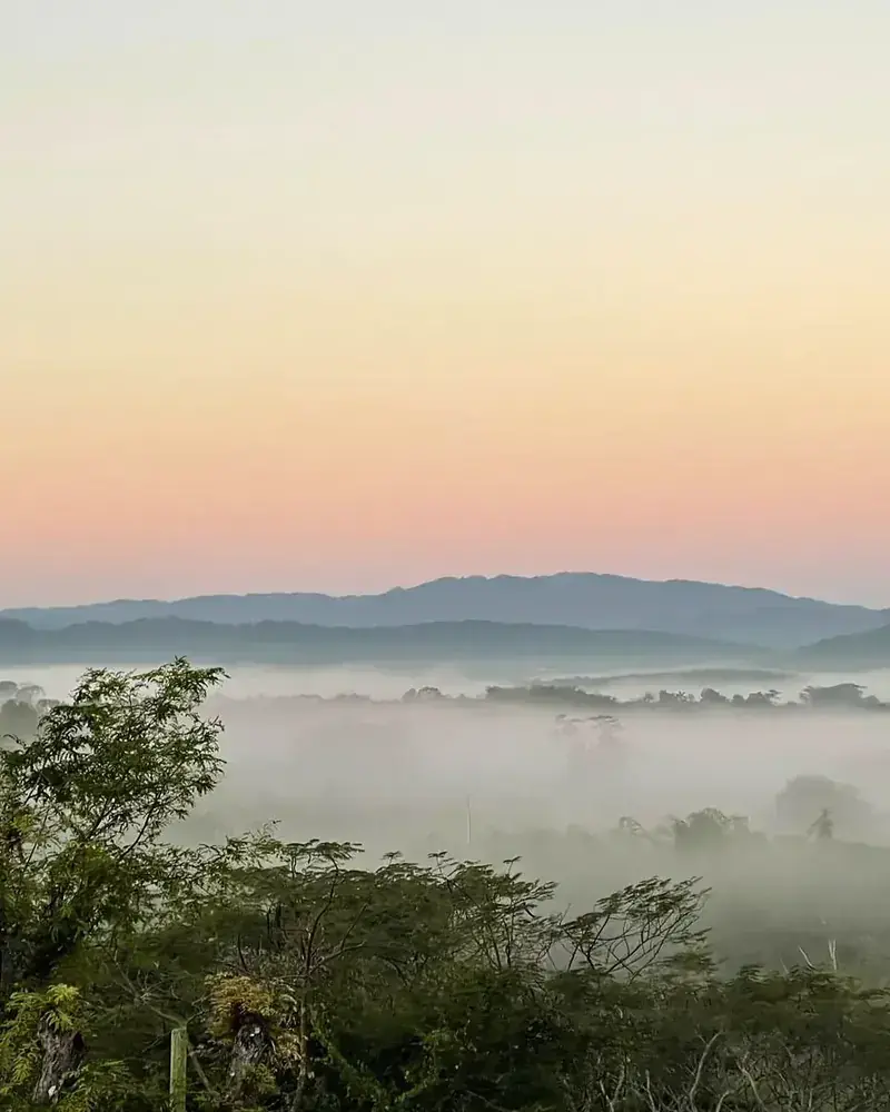 Mist over the hills at dawn