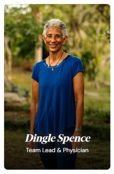 dingle-spence