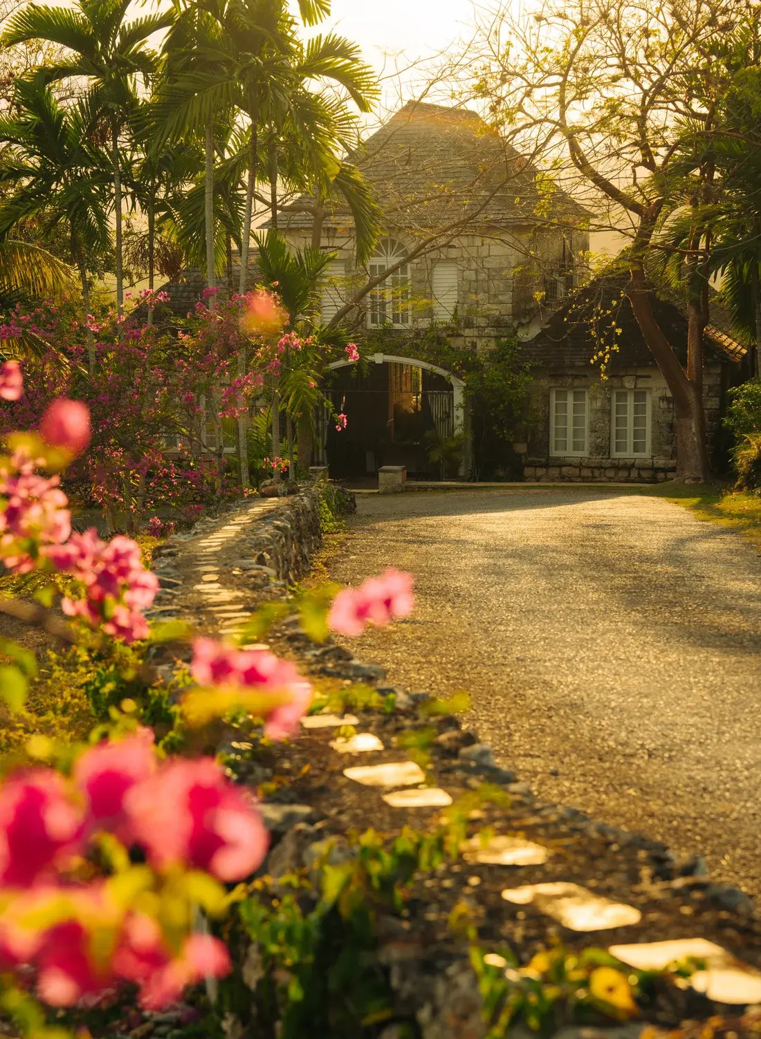 Sunlit garden path at Good Hope, Jamaica